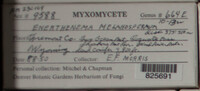 Image Associated With the Occurence